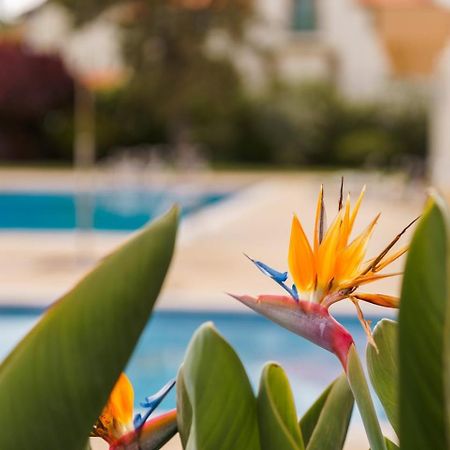 Apartament Sunny Getaway In Funchal Zewnętrze zdjęcie